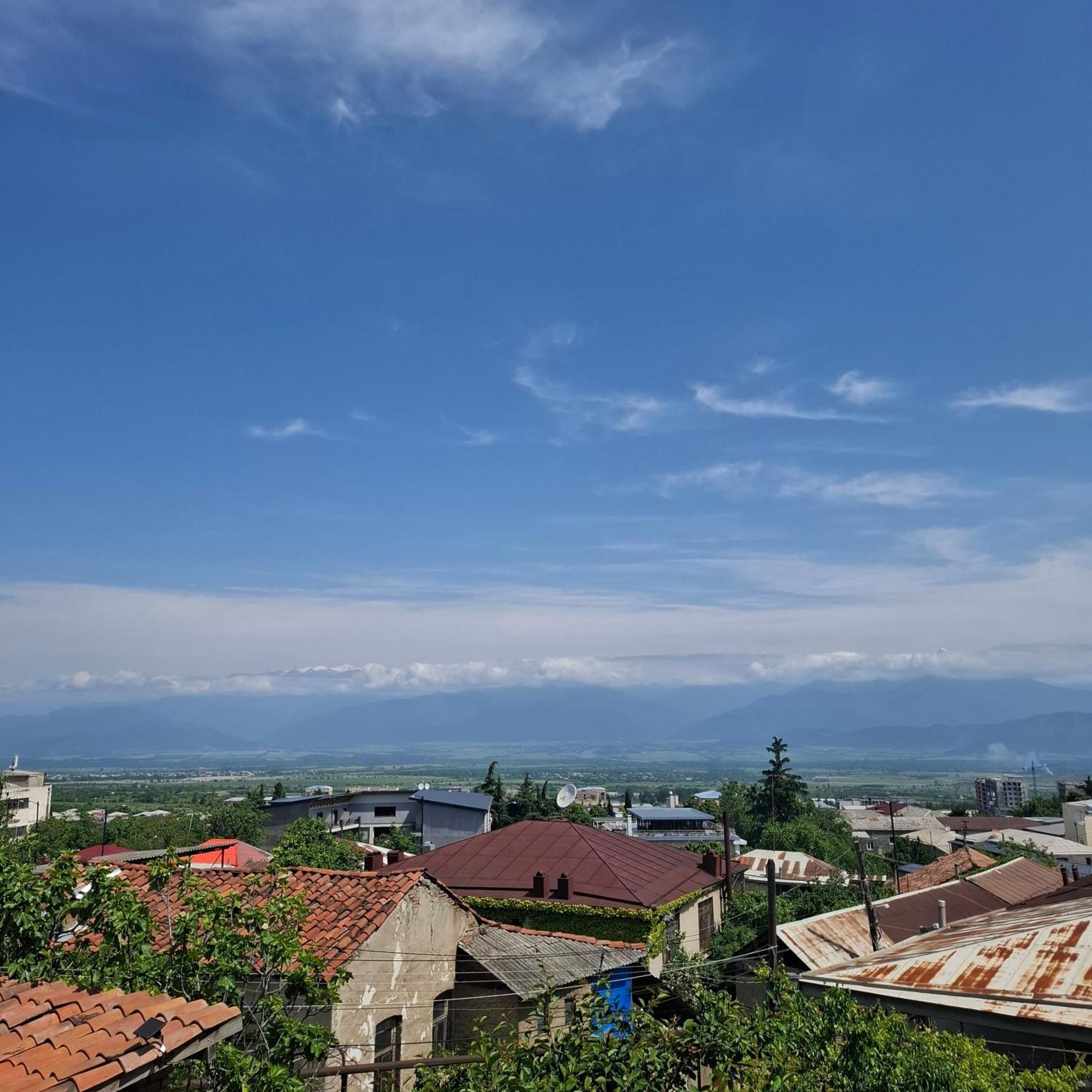 Hotel Kadori Hills Telavi Exterior foto